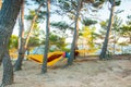 hammocks suspended on the tree, camping by the lake