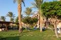 Hammocks between two palm trees at the egyptian garden. Holiday and vacation concept