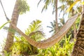 Hammok on tropical background, summer vacations Royalty Free Stock Photo