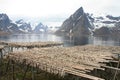 Hamnoy's mountains and stockfish