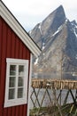 Hamnoy's rorbu, mount and stockfish