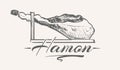 Hamon food sketch hand drawn vector illustration