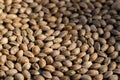 Hamp seeds macro. Cannabis harvest. Marijuana seeds background