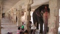 HAMPI, INDIA - APRIL 2013: Elephant and its minder