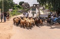 Traffic in Bazar street in Hampi, Karnataka, India