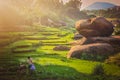 Hampi ricefields Royalty Free Stock Photo