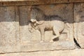 Hampi Vittala Temple wall carving of a decorated horse marching