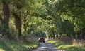 Car driving along an English country lane, UK Royalty Free Stock Photo