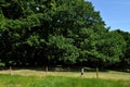 Hampstead Heath is a large, ancient London heath embracing ponds woodlands lido playgrounds and training track