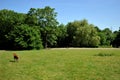 Hampstead Heath is a large, ancient London heath embracing ponds woodlands lido playgrounds and training track