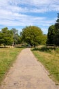 Hampstead heath pathway, into the nature. Uk