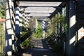 Hampstead Pergola in London