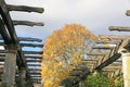 Hampstead Pergola in London