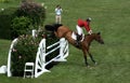 Hampton Classic Horse Show Royalty Free Stock Photo