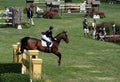 Hampton Classic Horse Show Royalty Free Stock Photo