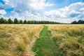 Hampton Court Park in South London, UK