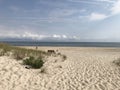Hamptons sandy beaches at Labor day