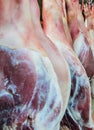 Hams Royalty Free Stock Photo