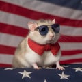 Hamster with American flag dressed up. Created using ai generative.