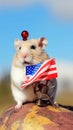A hamster with an american flag on its head. Generative AI image.