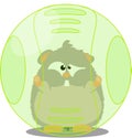 Hamster in ball