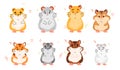 Hamster breeds. Cute little pets, different types, home rodents, funny fluffy animals various sizes and colors, cartoon Royalty Free Stock Photo