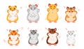 Hamster breeds. Cute little pets, different types, home rodents, funny fluffy animals various sizes and colors, cartoon flat style Royalty Free Stock Photo