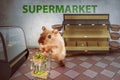 Hamster buying in panic the supermarket empty - 3D-Illustration