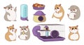 Hamster character. Cartoon curious pet with cage and wheel. Feeder or drinker. Domestic rodent poses and expressions. Funny home