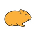 Hamster color icon