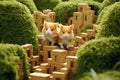 hamster couple exploring a maze Royalty Free Stock Photo