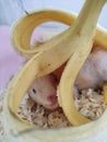 Hamster eat banana and lie under banana Royalty Free Stock Photo