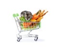 hamster in a grocery cart with vegetables Royalty Free Stock Photo