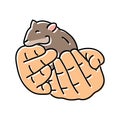 hamster hand pet color icon vector illustration Royalty Free Stock Photo