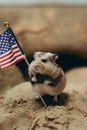 A hamster holding an american flag on a beach. Generative AI image.