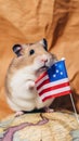 A hamster holding an american flag on top of a globe. Generative AI image.