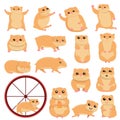 Hamster icons set, cartoon style