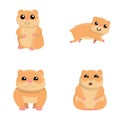 Hamster icons set cartoon vector. Animal rodent