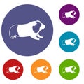 Hamster icons set