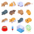 Hamster icons set, isometric style