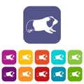 Hamster icons set