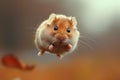 Hamster in the jump. Funny hamster, flying. cute little hamster try move to hand, hamster feeling wonder and excite, hamster on