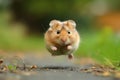 Hamster in the jump. Funny hamster, flying. cute little hamster try move to hand, hamster feeling wonder and excite, hamster on