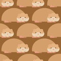 Hamster pattern. Cute pet background. Home rodent ornament Royalty Free Stock Photo