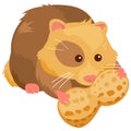 Hamster with peanut. Vector illustration Royalty Free Stock Photo