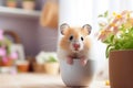 Hamster in a pot on a wooden table in the kitchen