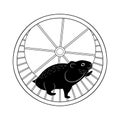 The hamster in running wheel is isolated on the white background