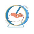 Hamster in a running wheel