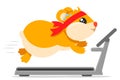 Hamster runs on a treadmill on a white background