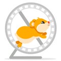 Hamster runs in a wheel on a white. Character